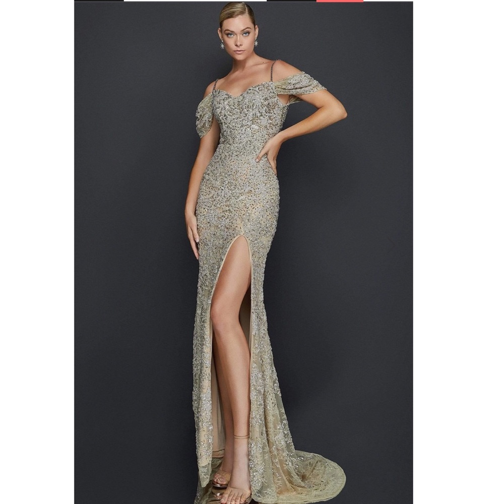 Terani Couture Embellished Dress NEW